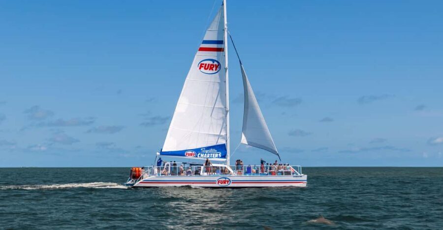 St. Augustine: Dolphin Watching Harbor Tour with Drinks - Who Is This Tour Best For?