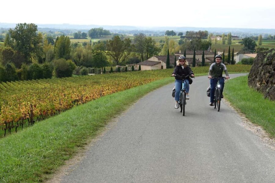 St. Emilion: Half Day E-Bike & Wine Tour with Wine & Cheese - Riding through Saint-Émilion’s Vineyards