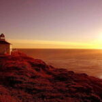 St. John's NL: Cape Spear & City Tour with Local Guide - What Reviewers Say