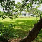 St. Joseph Plantation Tour - The Experience in Detail: What Youll Encounter