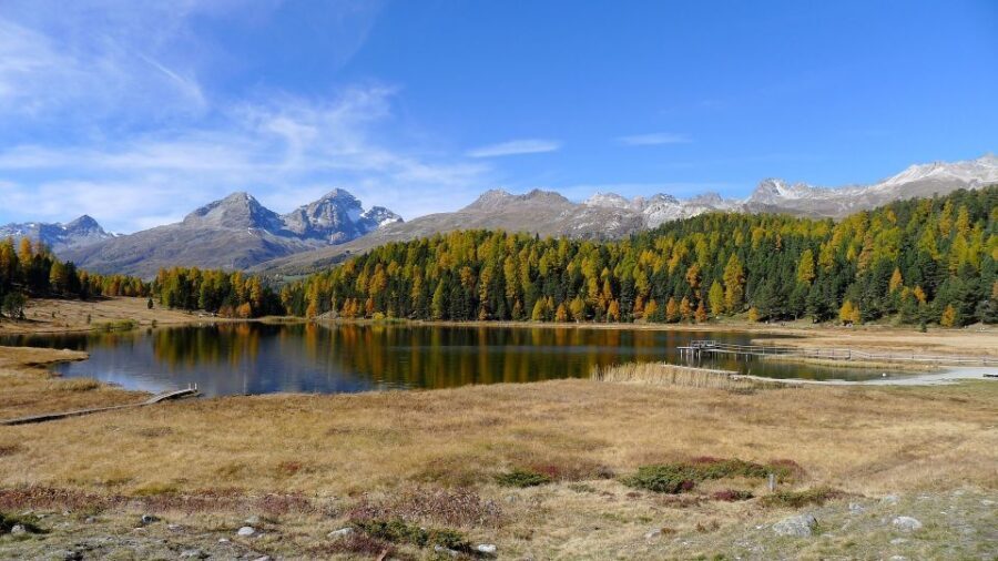 St. Moritz: Private Guided Town Highlights Walking Tour - The Sum Up