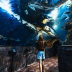 St Paul's Bay: Malta National Aquarium Entry Ticket - FAQ: Your Practical Questions Answered