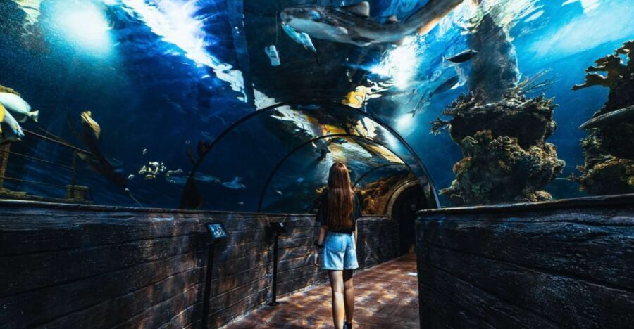 St Paul's Bay: Malta National Aquarium Entry Ticket - FAQ: Your Practical Questions Answered