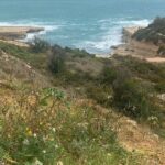 ST.PETER'S POOL Rocky Beach (Half Day with Pick-up) - Authenticity and Real Traveler Insights