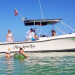 St. Petersburg, FL: Private 2-Hour Dolphin Watching Cruise - A Close Look at the 2-Hour Dolphin Watching Cruise
