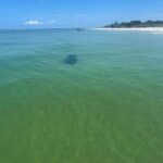St. Petersburg, FL: Private 5-Hour Egmont Key Boat Tour - Final Thoughts