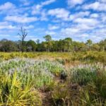 St. Petersburg: Lake Maggiore Bike Tour with Guide - Who Should Consider This Tour?