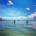 St. Petersburg: Paddle Board Tour with Wildlife Spotting - Why This Tour Is a Great Choice