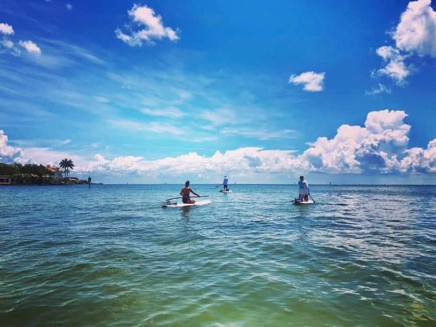 St. Petersburg: Paddle Board Tour with Wildlife Spotting - Why This Tour Is a Great Choice
