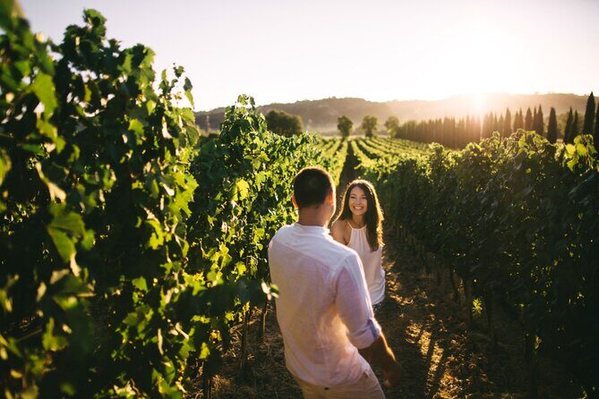 Stancija Collis: A Winery Adventure Tour in Rovinj - Who Will Benefit Most?