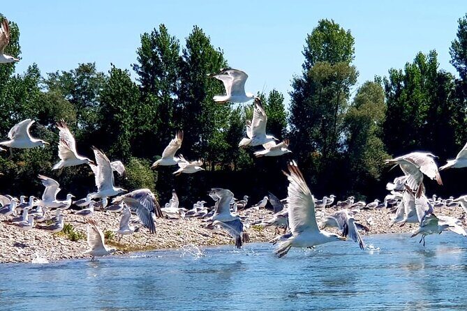 Stand Up Paddle at Skadar lake and Hiking from Valbona to Theth in 4 Days - Who Should Consider This Tour?