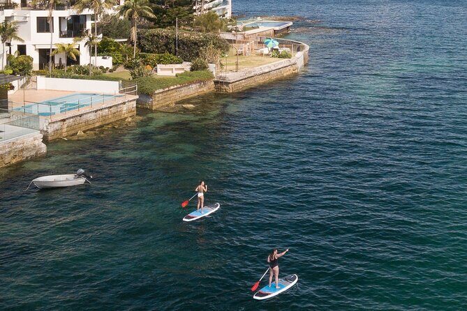 Stand Up Paddle Board Hire - 2 Hours - Practical Details and Tips for a Great Experience