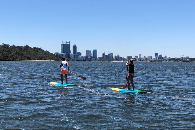 Stand Up Paddle Board Hire - Who Is This Tour Best For?