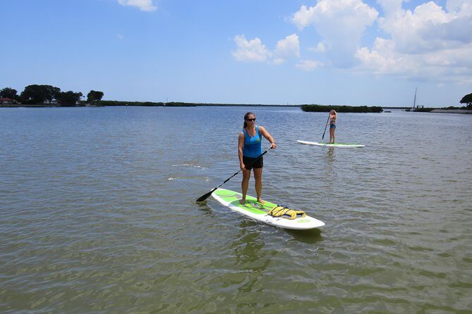 Stand Up Paddle Board Rental in Rose Bay - What to Expect on Your Paddleboarding Journey