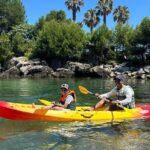 Stand Up Paddle Boarding Lesson of Cascais Bay - Who Is This Tour Best For?