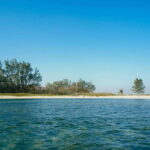 Stand-up Paddle & Kayak Tours in Veracruz - Authentic Experiences and Overall Value