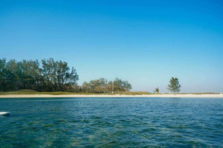 Stand-up Paddle & Kayak Tours in Veracruz - Authentic Experiences and Overall Value