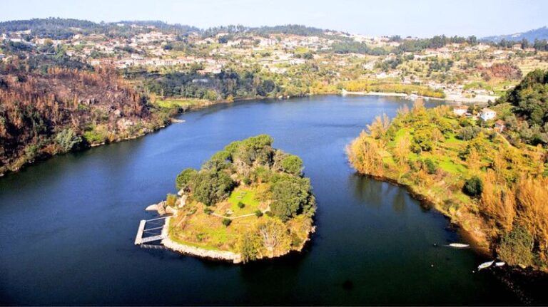 Stand Up Paddle Tour - Ilha dos Amores - Pick-up location - Who Will Love This Experience?