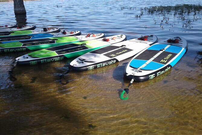 Stand Up Paddleboard Rentals - Authentic Feedback from Visitors