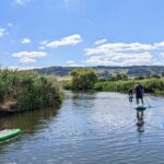 Stand-up Paddleboard SUP Safari on The River Avon For Beginners - A Deep Dive into the SUP Safari Experience