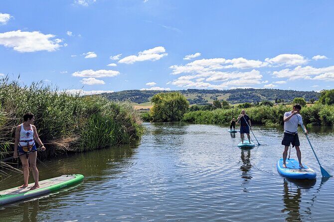 Stand-up Paddleboard SUP Safari on The River Avon For Beginners - A Deep Dive into the SUP Safari Experience