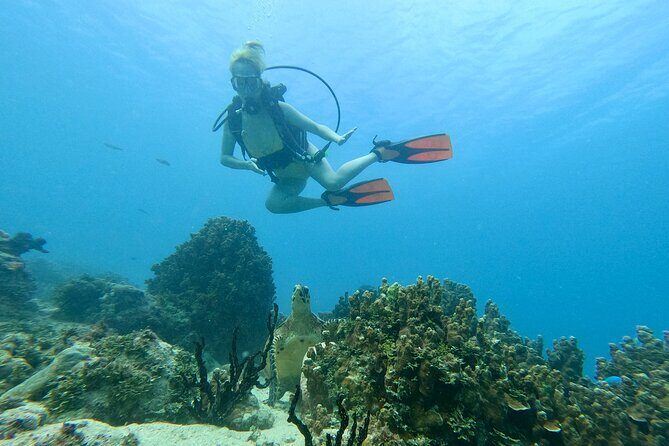 StandUp PaddleBoard Lesson and Experience Scuba Diving Package! - The Paddleboarding Experience: Learning and Enjoyment