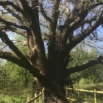 Stanmore Circular Private Walking Tour - Frequently Asked Questions