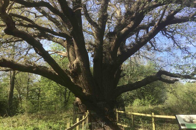 Stanmore Circular Private Walking Tour - Frequently Asked Questions