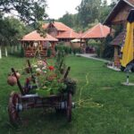 Stara Plana Day Tour - FAQ