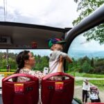 Stavanger: City Sightseeing Hop-On Hop-Off Bus Tour - Who Will Like This Tour?