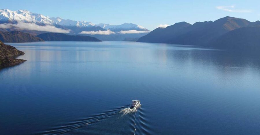 Stevensons Island 2-Hour Cruise and Nature Walk - Breaking Down the Itinerary: What to Expect