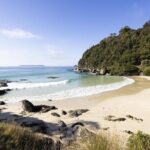 Stewart Island Guided Wilderness Walk - Exploring Stewart Island’s Wilderness in Depth