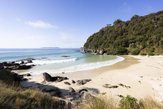 Stewart Island Guided Wilderness Walk - Exploring Stewart Island’s Wilderness in Depth