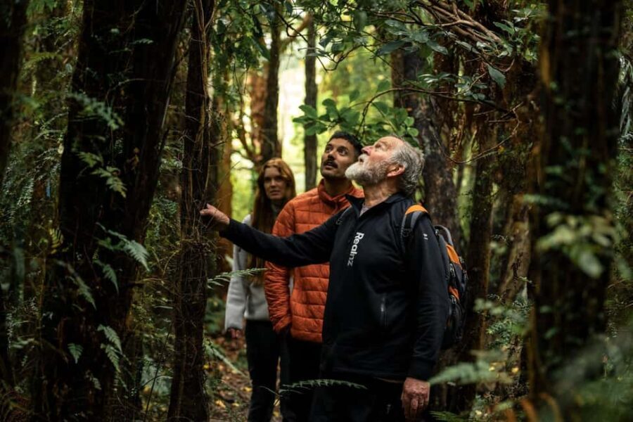 Stewart Island: Guided Wilderness Walk - The Sum Up