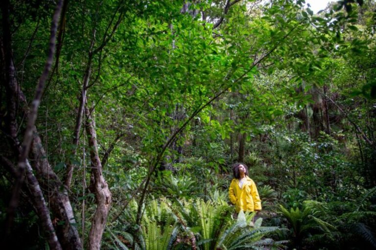Stewart Island: Ulva Island Guided Wilderness Walk & Cruise - Final Thoughts