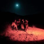 Stewart Island: Wild Kiwi Experiences - An In-Depth Look at Stewart Island: Wild Kiwi Experiences