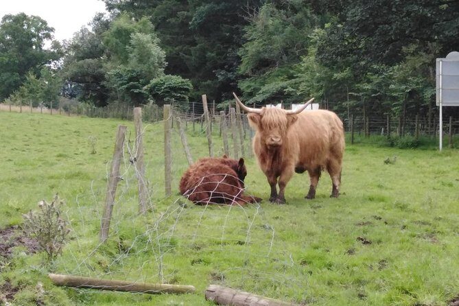 Stirling Castle, Hairy Coo's & The Trossachs - FAQ