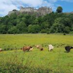 Stirling Castle, Trossachs, Loch Lomond and Whisky Tour - Practical Details and Value