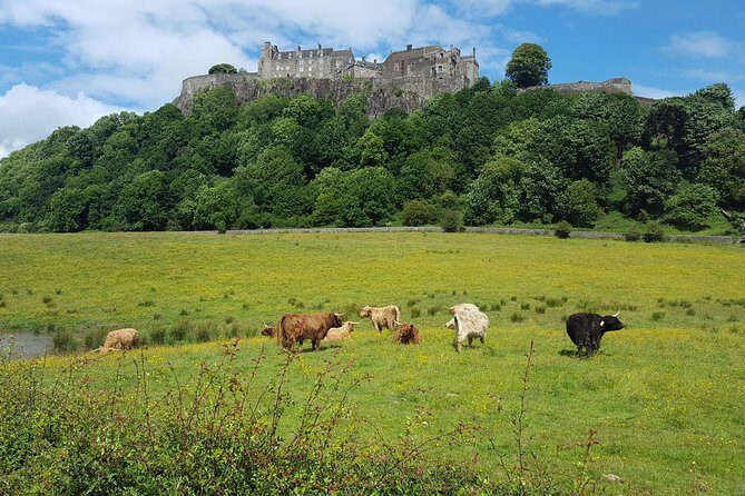 Stirling Castle, Trossachs, Loch Lomond and Whisky Tour - Practical Details and Value