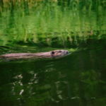 Stockholm: Archipelago Family-Friendly Private Kayaking Tour - Analyzing the Value for Your Money