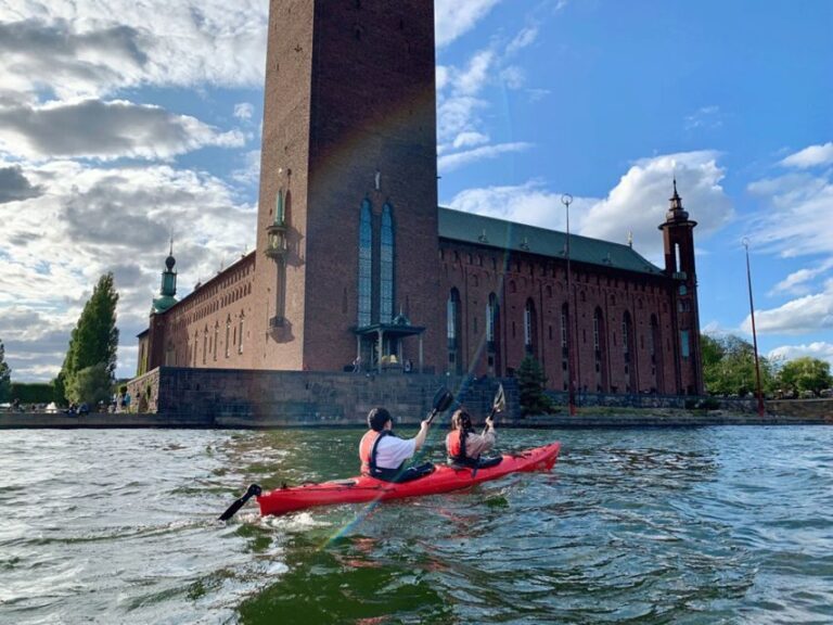 Stockholm: Daytime Kayak Tour in Stockholm City - Authentic Feedback from Fellow Travelers