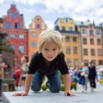 Stockholm Gamla Stan Walking Tour and Djurgården Boat Cruise - Final Thoughts on Value and Experience