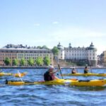 Stockholm: Guided Kayak City Tour & Optional Midsummer Meal - Who Is This Tour Perfect For?
