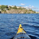 Stockholm: Guided Kayak Tour to Drottningholm Royal Palace - Practical Details and Value