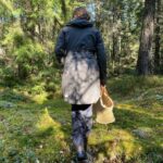 Stockholm, Mushroom and Wild Plant Foraging Tour with expert - The Sum Up