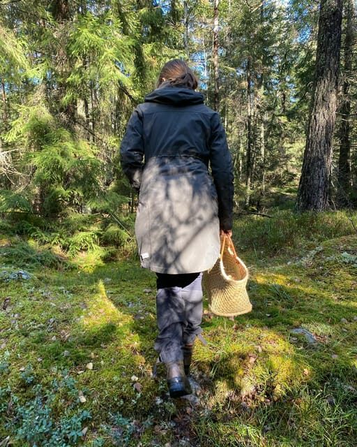 Stockholm, Mushroom and Wild Plant Foraging Tour with expert - The Sum Up