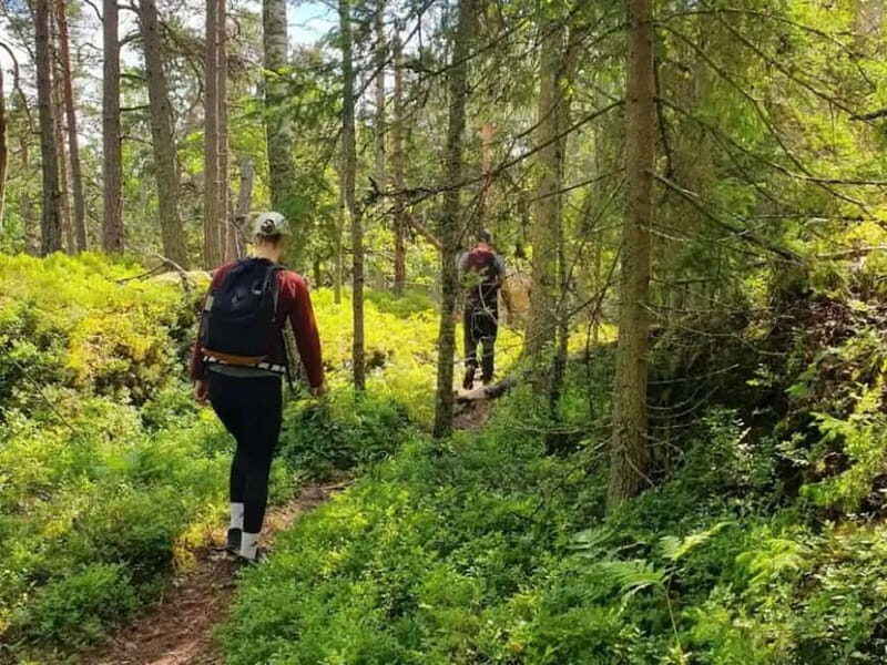 Stockholm: Nature Reserve Hiking Tour with Campfire Lunch - Exploring Stockholm’s Natural Side