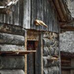 Stockholm Pass: Save up to 50% - Includes Vasa Museum Ticket - A Detailed Look at What the Pass Offers