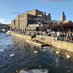 Stockholm: Private Guided Car Tour and Vasa Museum Entry - In The Sum Up: Who Is This Tour Best For?