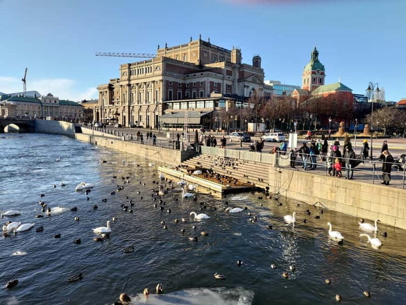 Stockholm: Private Guided Car Tour and Vasa Museum Entry - In The Sum Up: Who Is This Tour Best For?